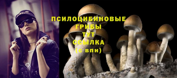 ешки Каменка