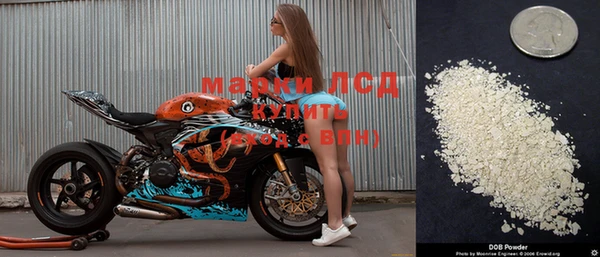мяу мяу мука Карпинск