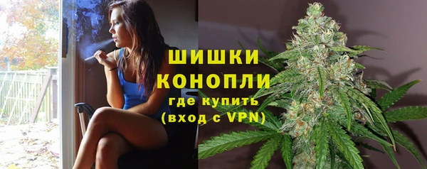 ALPHA PVP Каменногорск