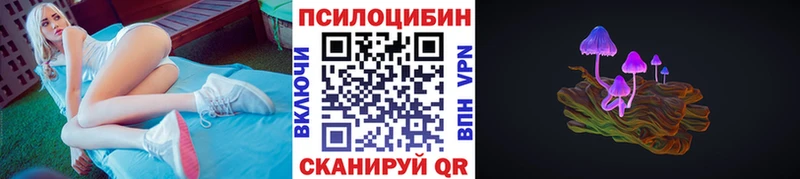 Купить  Дмитриев  Псилоцибиновые грибы GOLDEN TEACHER 